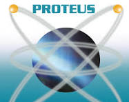 proteus